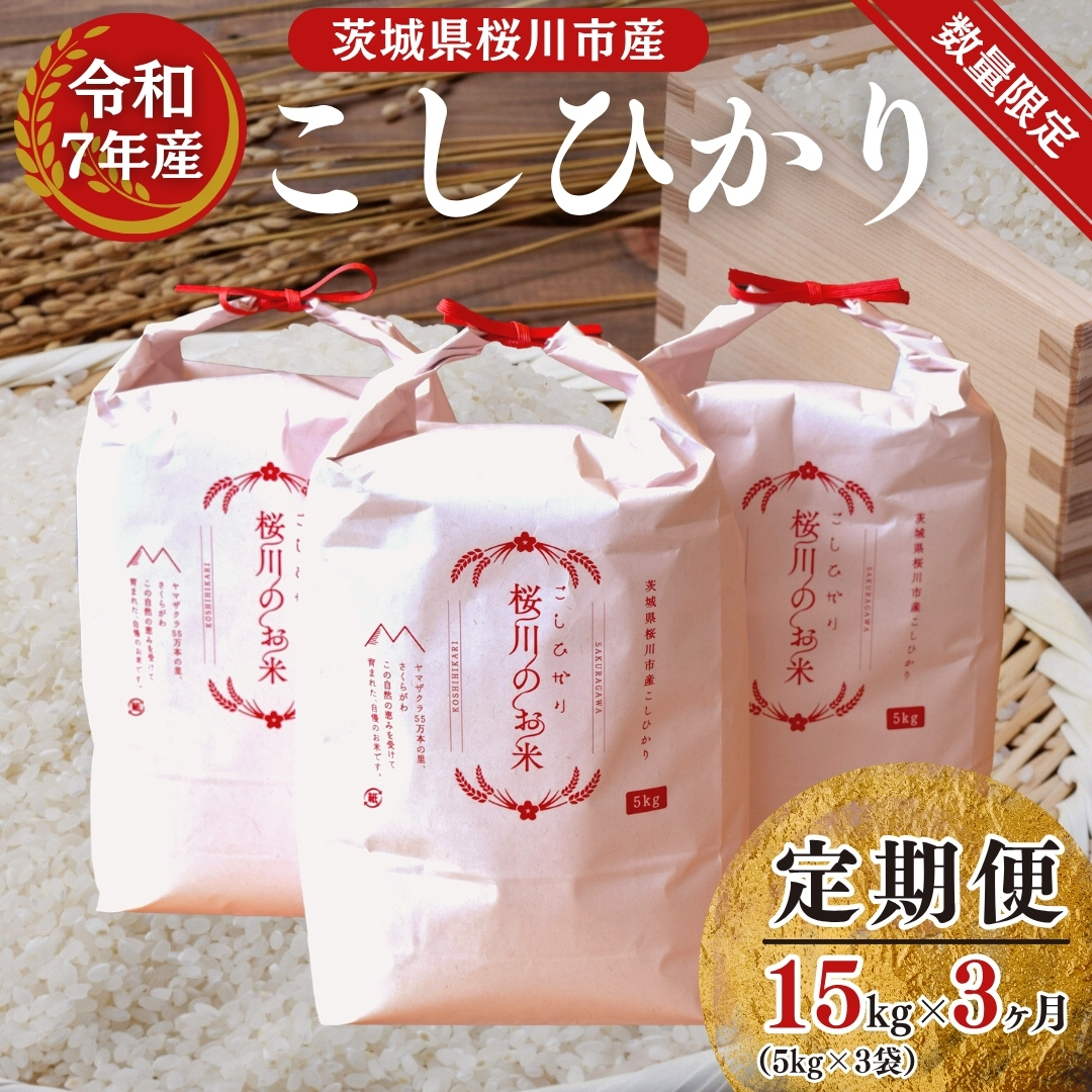 s 3  s\ tyYҎxzs ߘa7NY V t@錧sY Ђ 15kg ( 5kg × 3 ) × 3 錧Y     R ͂  RVqJ Y  