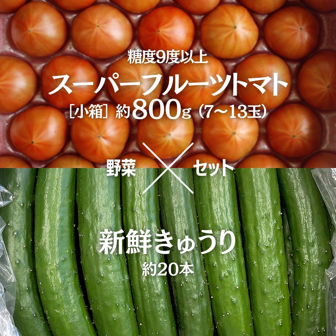 糖度9度以上 トマト 【 2025年収穫分 先行予約 】 スーパーフルーツトマト 小箱 約800g (7〜13玉) 糖度9度以上 & 新鮮 きゅうり 約20本 野菜セット 2025年2月上旬発送開始 とまと トマト 胡瓜 キュ