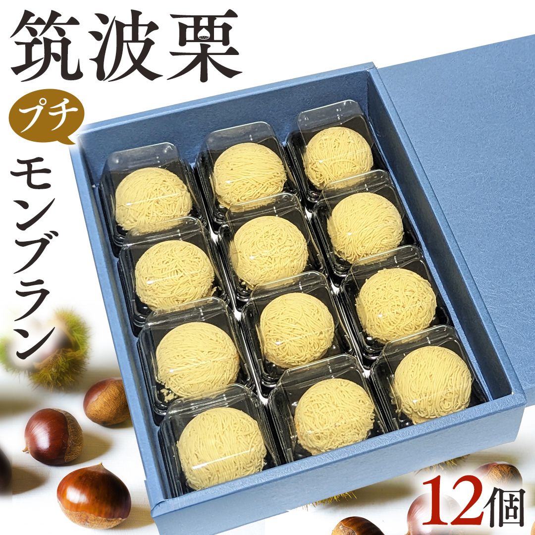 }g I  v` u 20g × 12 aI aIy[Xg } N[ َq XC[c IWi mَq aَq aXC[c [EK011sa]錧s15000َqEXC[cP[LEJXe