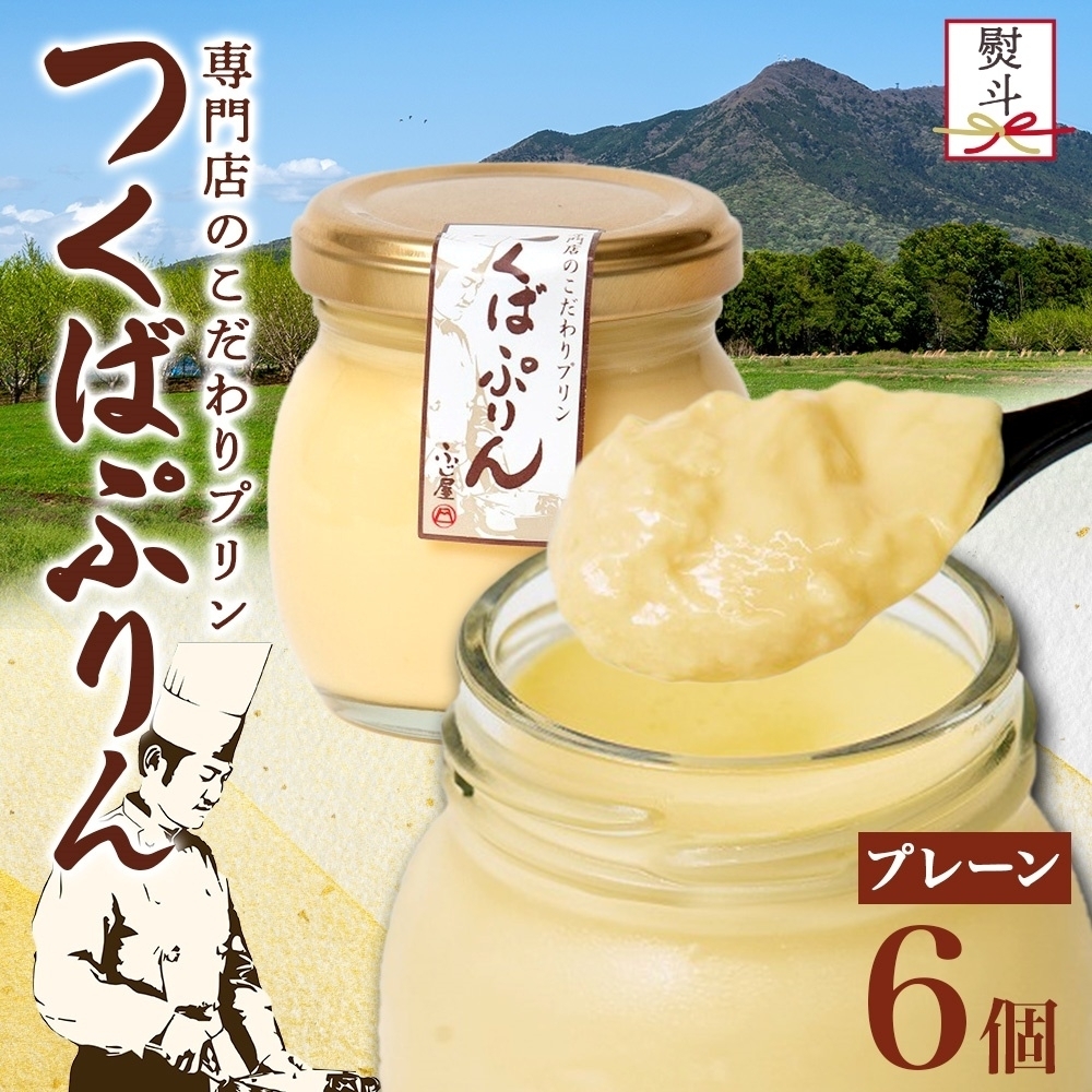 無地熨斗 つくばぷりん プレーン 6個 冷凍 プリン ぷりん 牛乳 生乳 ミルク 卵 奥久慈卵 スイーツ 贅沢 洋菓子 おやつ 冷菓 ご褒美 デザート 専門店 人気 グルメ お取り寄せ ギフト プレゼン
