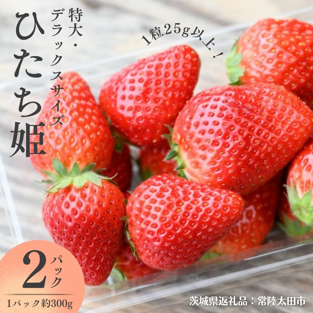 y 2025N1ȍ~ z ЂP ( 300g × 2pbN )  E fbNXTCY i錧ʕԗi^헤csj t[c  C`S  VN ̂ 錧 ORFRUITFARM [DY022sa]錧