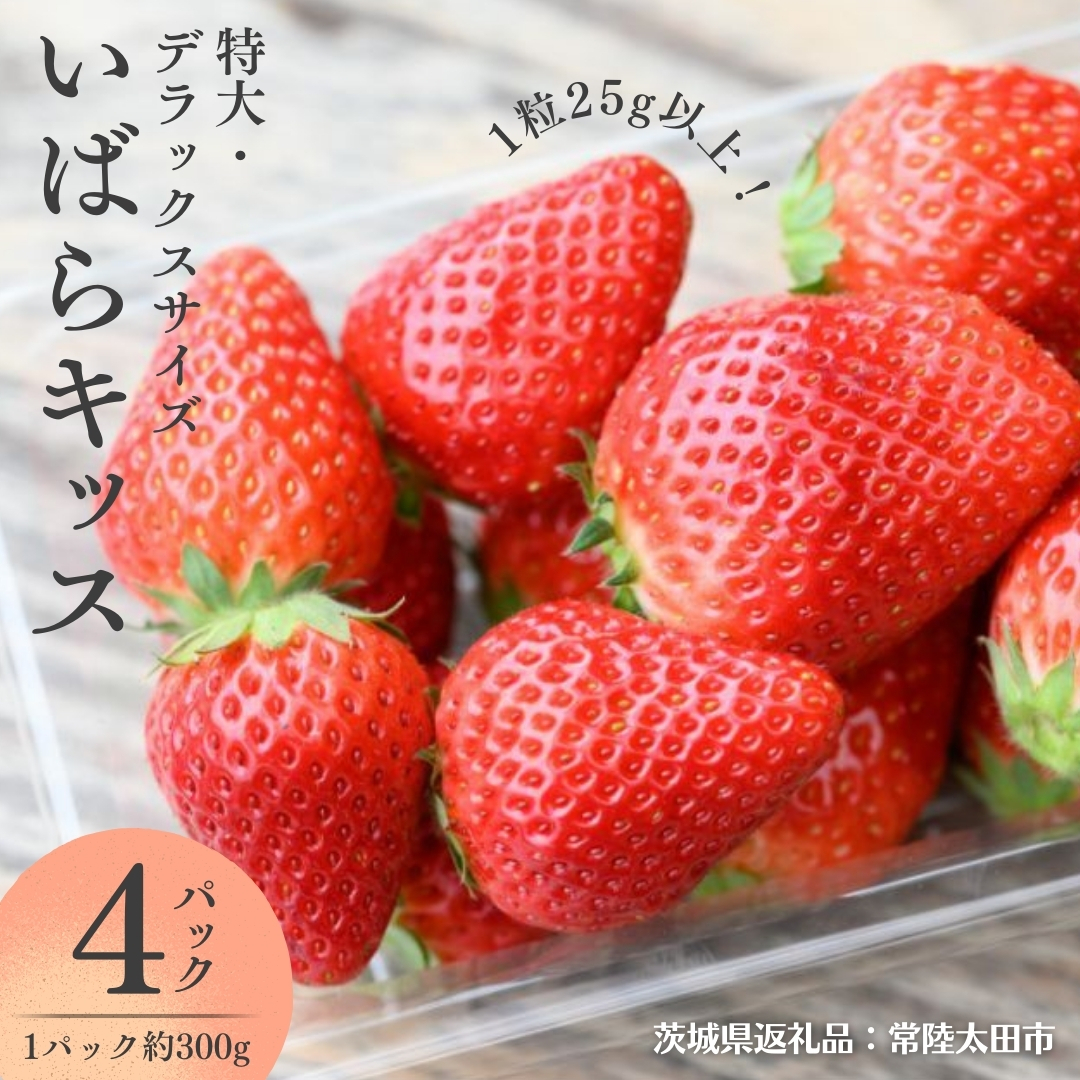 【 2026年 先行予約 】 いばらキッス ( 約300g × 4パック ) 特大 ・ デラックスサイズ (茨城県共通返礼品/常陸太田市) 茨城県品種 2026年1月から発送開始 フルーツ 苺 イチゴ いちご 新鮮 朝採