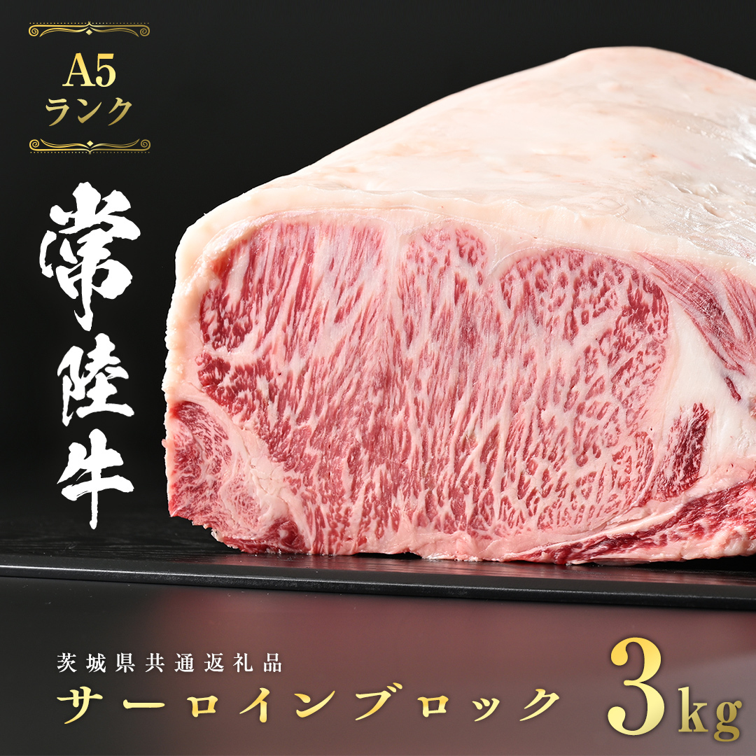 헤 A5  T[C ubN 3kg ( 錧ʕԗi )  Xe[L јa Yјa a Y     Ђ [CD041sa]錧s101000