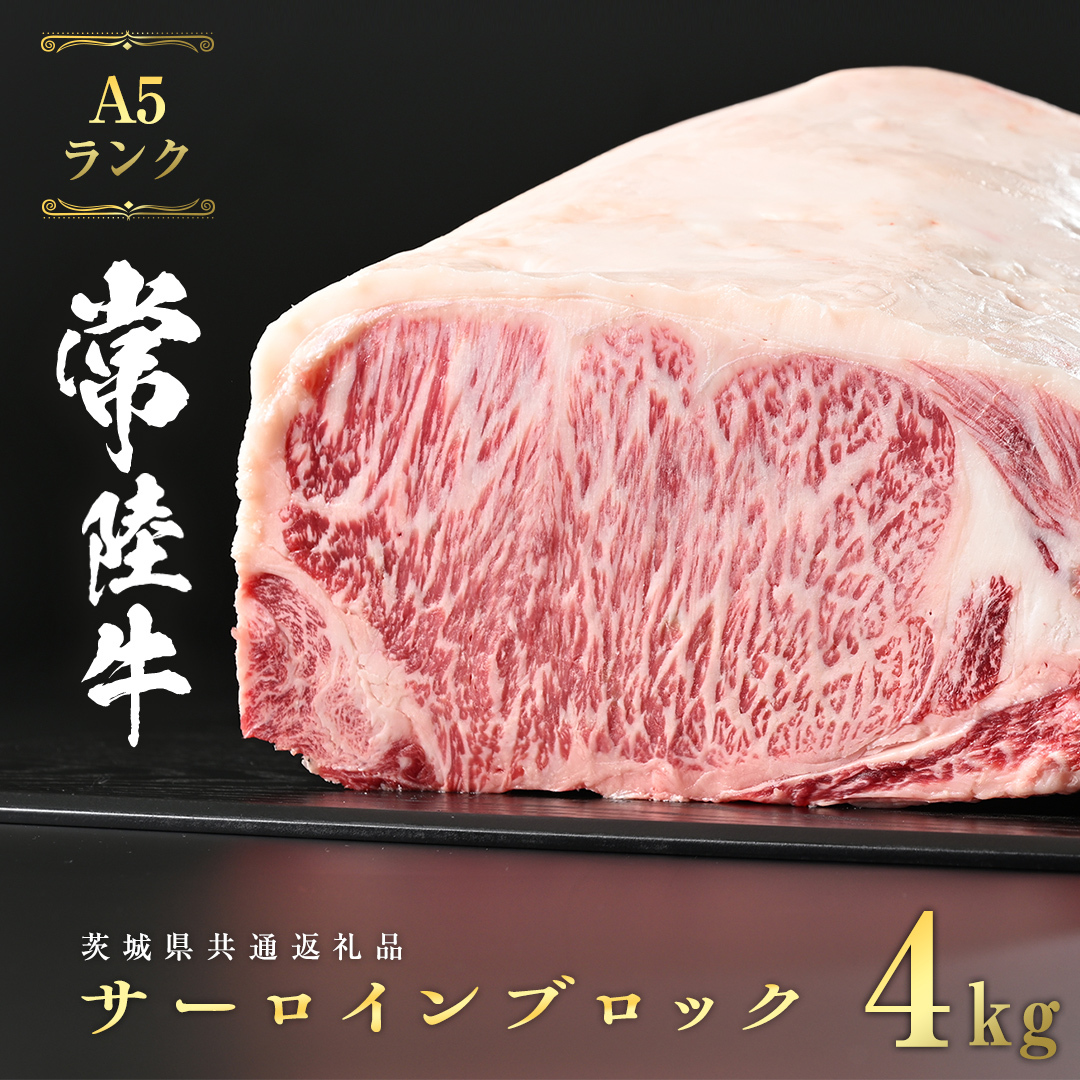 헤 A5  T[C ubN 4kg ( 錧ʕԗi )  Xe[L јa Yјa a Y     Ђ [CD042sa]錧s134000