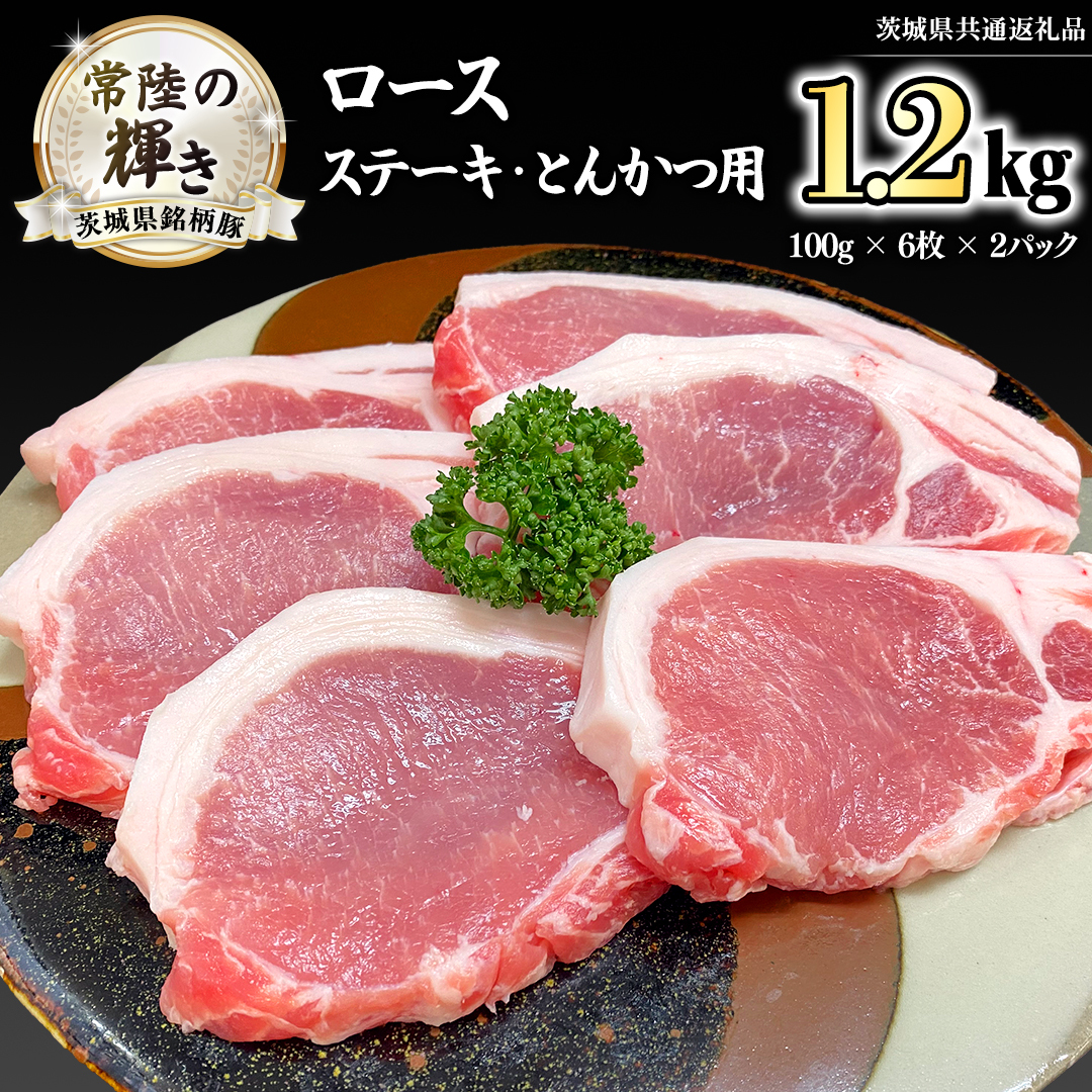 錧 u헤̋Pv Xe[L E Ƃ񂩂 p [X 1.2kg ( 100g × 6 × 2 pbN ) (錧ʕԗi)  uh O ؓ  Ⓚ [FA007sa]錧s14000ؓ