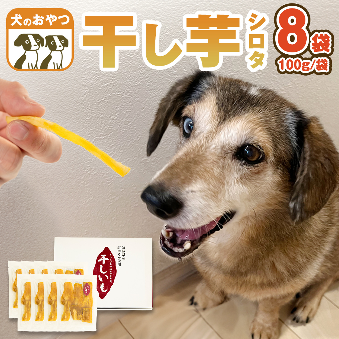 犬 の おやつ 干し芋 シロタ ( 100g × 8袋 ) 国産 手作り さつまいも 芋 お菓子 小分け 個包装 少量 栄養 食物繊維 噛みごたえ ドッグフード わんちゃん わんこ ペット ペットフード マツコの知