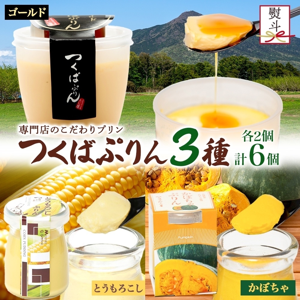 nl S[hՂ  Ƃ낱v  ڂՂ e2 v6 ΂Ղ v Ղ Ƃ낱 gERV ڂ J{` XC[c mَq aXC[c 