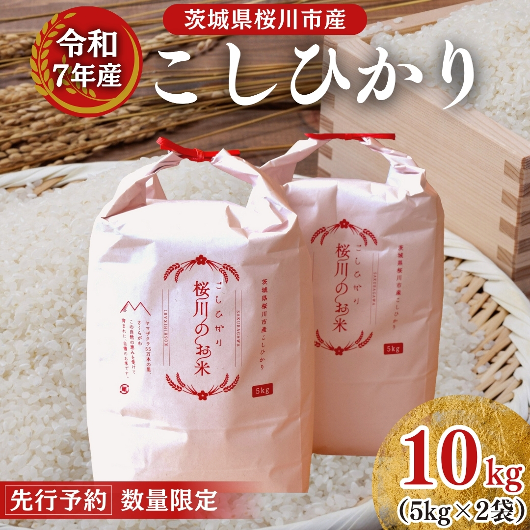 yYҎxz sߘa7NY s\t錧 sY Ђ10kgi5kg×2܁j 錧Y     R ͂  RVqJ Y   [SC050sa]錧s23000āEp