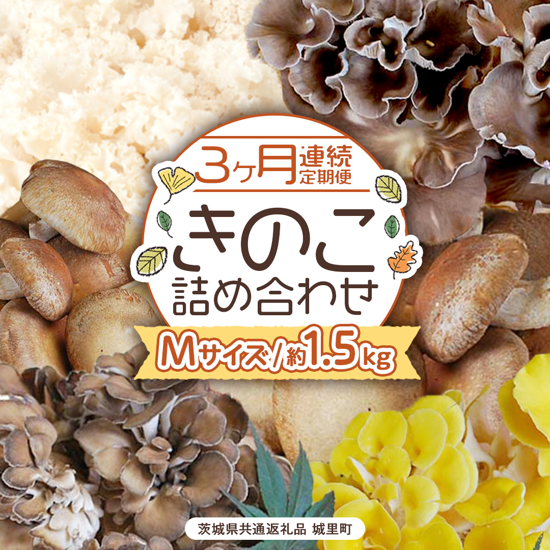 s R A t ̂  lߍ킹 MTCY 1.5kg i錧ʕԗi 闢j  LmR  ё   Ԃт Zbg  uߕ [CX006sa]錧s