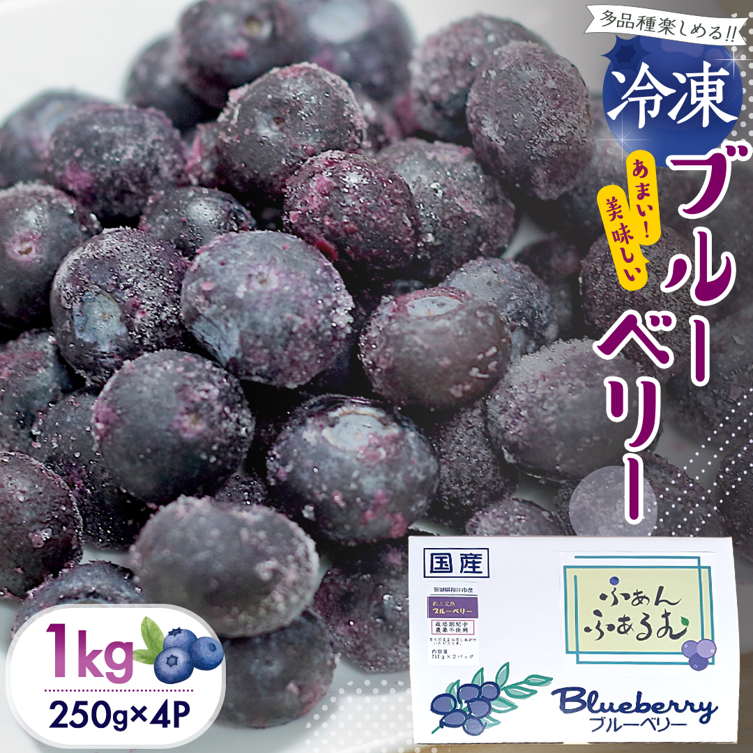 y2025N7{甭Jnz 錧Y Ⓚ u[x[ v 1kg (250g×4) i ʎ ʕ  t[c  u[x[ x[ W  [DZ018sa]錧s18000ʕE