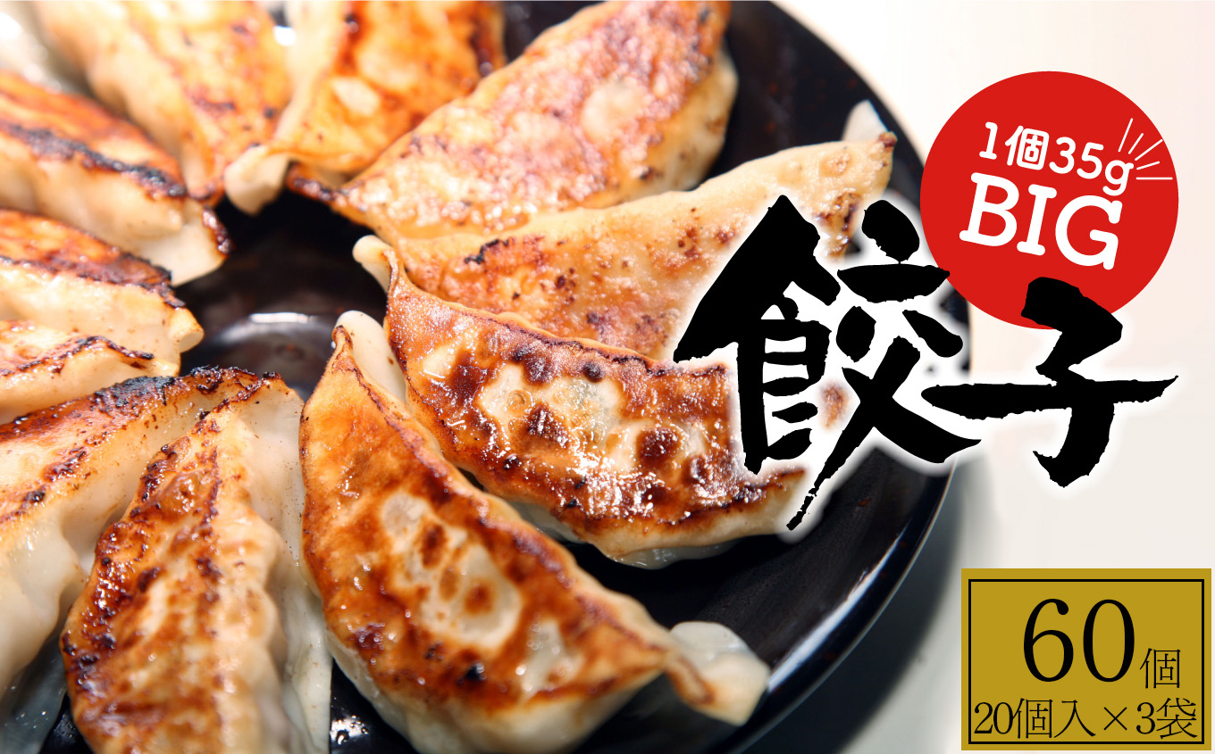 餃子 たじまやオリジナルビッグ 餃子 60個  真岡市 栃木県 栃木県 栃木県真岡市14500肉加工肉(ハム・ソーセージ等)