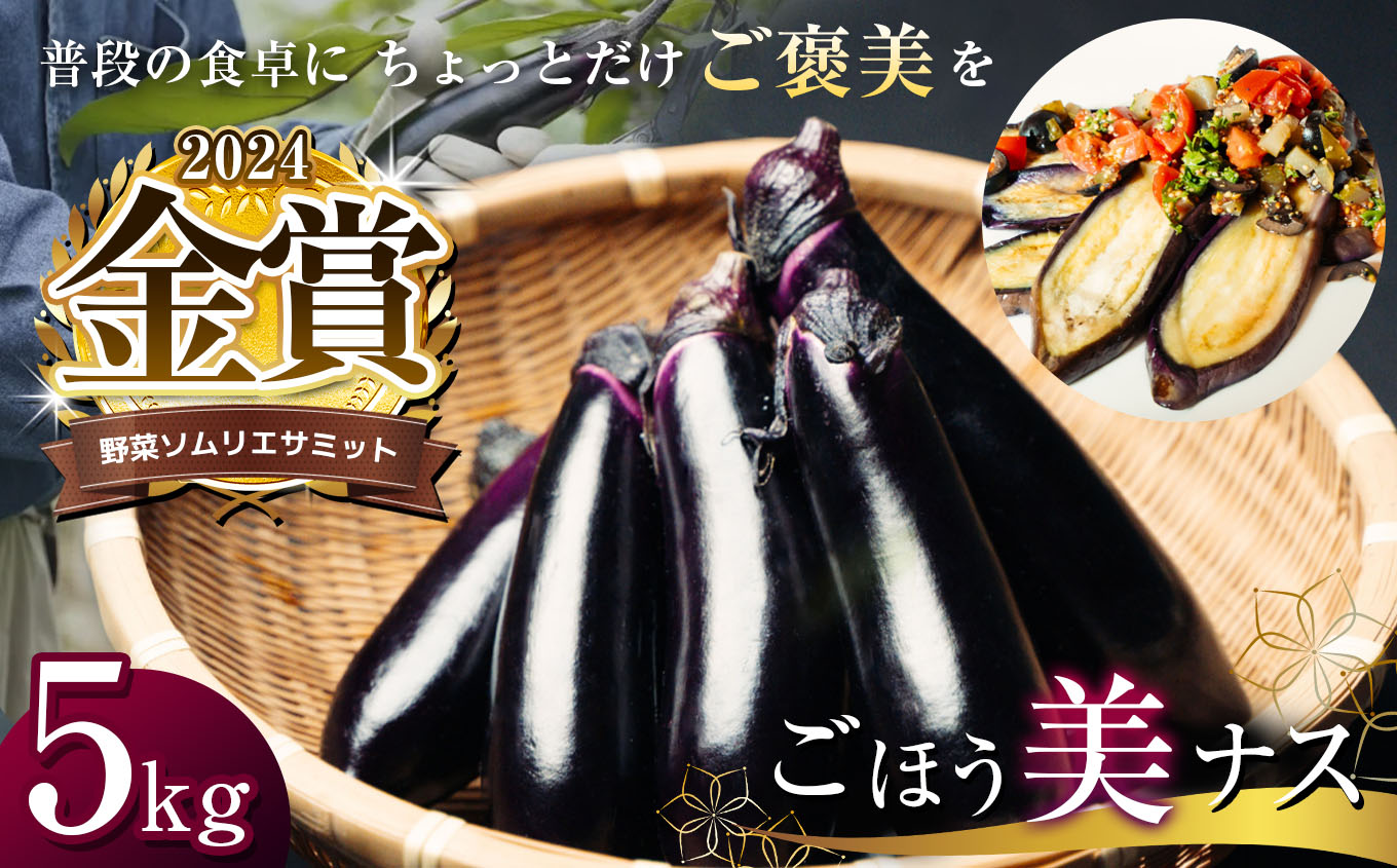 野菜ソムリエサミット金賞「ごほう美ナス」 約5kg栃木県真岡市12000野菜・きのこその他 野菜
