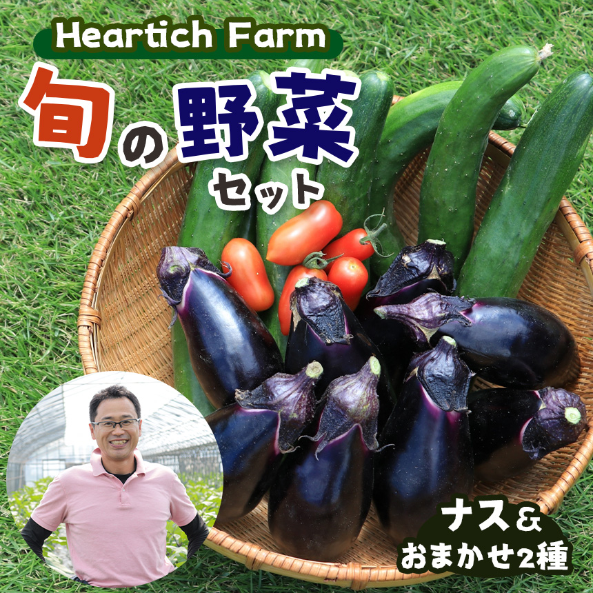 野菜 ナス Heartich Farm旬の野菜セット(おまかせ3種) 真岡市 栃木県栃木県真岡市9000野菜・きのこその他 野菜