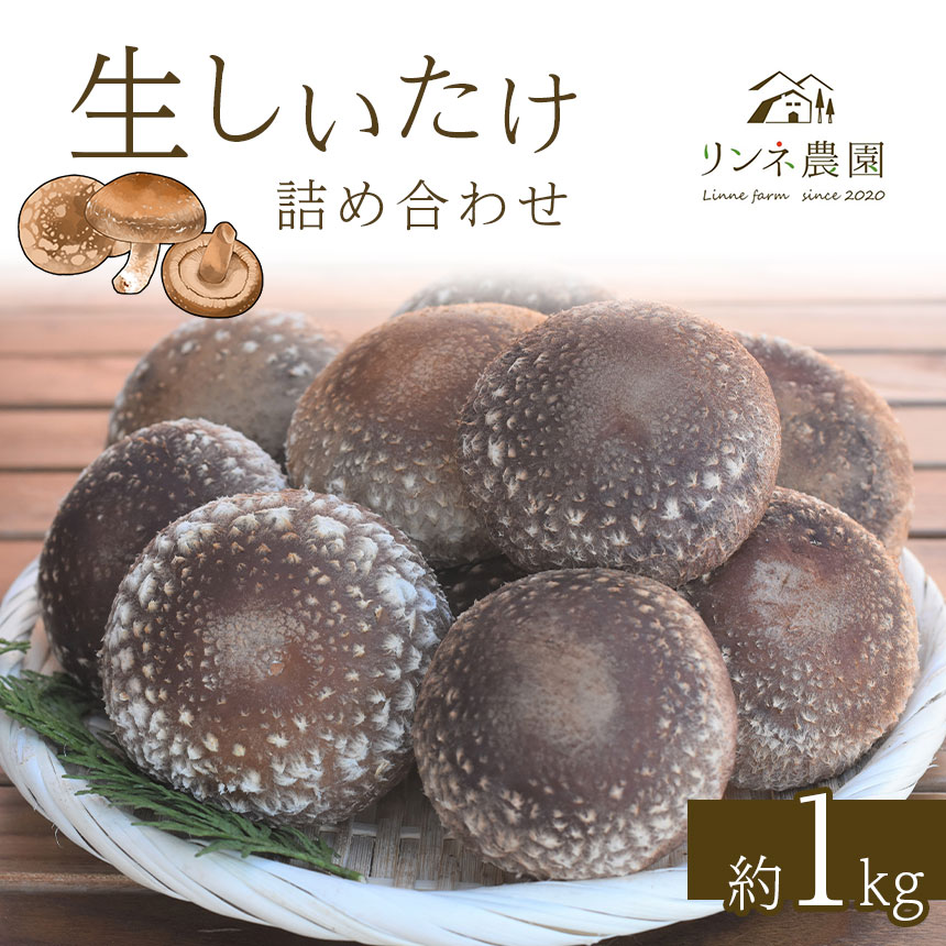 生しいたけ詰め合わせ 約1kg 真岡市 栃木県栃木県真岡市10000野菜・きのこきのこ