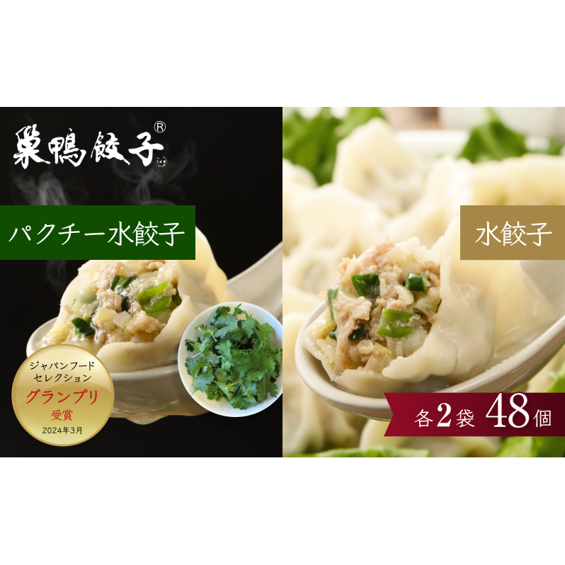 餃子 水餃子 巣鴨餃子 水餃子とパクチー水餃子の組み合わせ 各2袋 48個 清緑園 ぎょうざ ギョウザ セット もちもち パクチー 冷凍餃子 国産素材 お取り寄せ ギフト 冷凍 中華料理 おつまみ