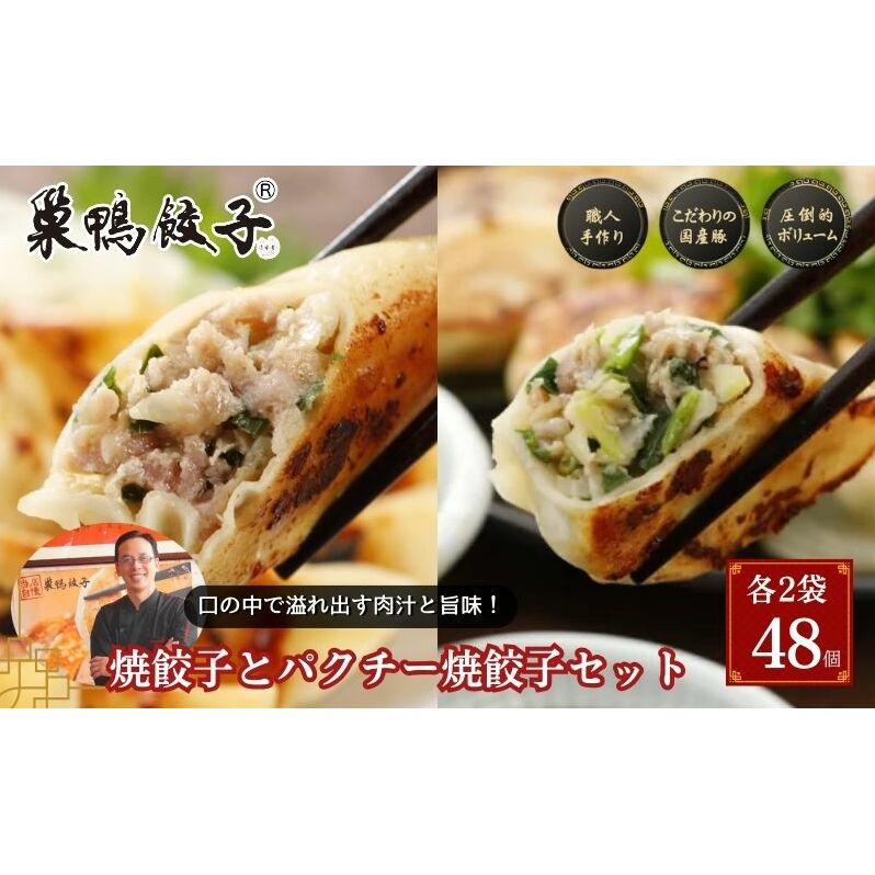巣鴨餃子 焼餃子とパクチー焼餃子 の組み合わせ 各2袋 48個 餃子 ぎょうざ ギョーザ セット 食べ比べ 冷凍 焼き餃子 おかず おつまみ お取り寄せ 豊島区 東京都東京都豊島区24000鍋セット・総