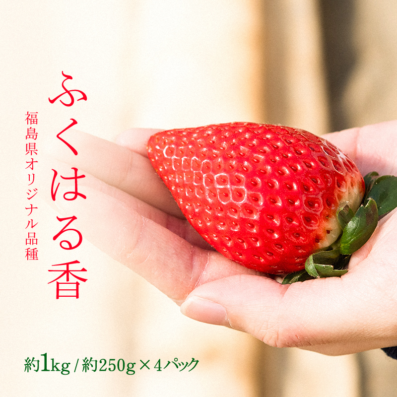 ys\z肪IIWiiuӂ͂鍁v 2L`3L 1kgi250g×4pbNj  C`S   Β Δ_V F6Q-077Β12000ʕEt[c