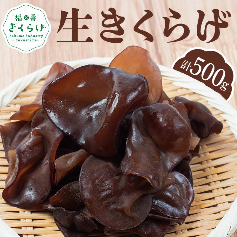 福寿「生キクラゲ」500g (100g×5パック) きくらげ きのこ キノコ  F6Q-108福島県鏡石町8000野菜・きのこきのこ