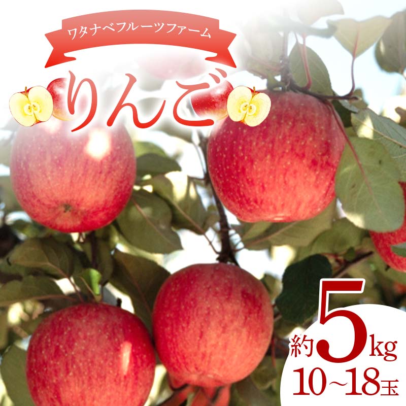ワタナベフルーツファームのりんご 約5kg(10〜18玉) リンゴ フルーツ 果物  F6Q-124福島県鏡石町13000果物・フルーツりんご・梨