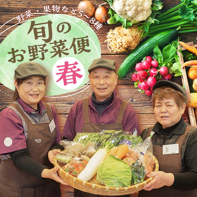 鏡石のうまいもの野菜の直送便(春)果物 詰め合わせ つめ合わせ セット 福島県 鏡石町  F6Q-133福島県鏡石町8500野菜・きのこ