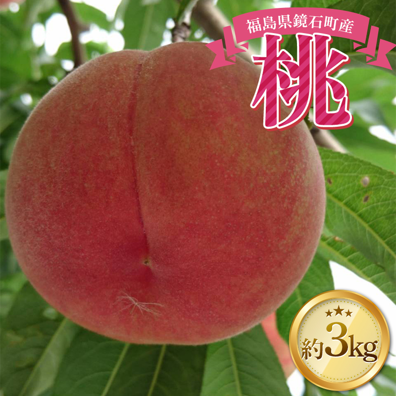根本果樹園厳選の桃 約3kg もも フルーツ 果物 くだもの  F6Q-149福島県鏡石町14000果物・フルーツもも・すもも