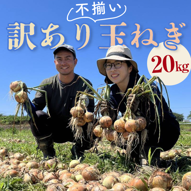 ss\t 2025N A ܂݂ՂI s ʂ˂ 20kg ܂˂ ^}lM ʔK  󂠂 PA F6Q-152Β14000؁Êʂ˂E˂