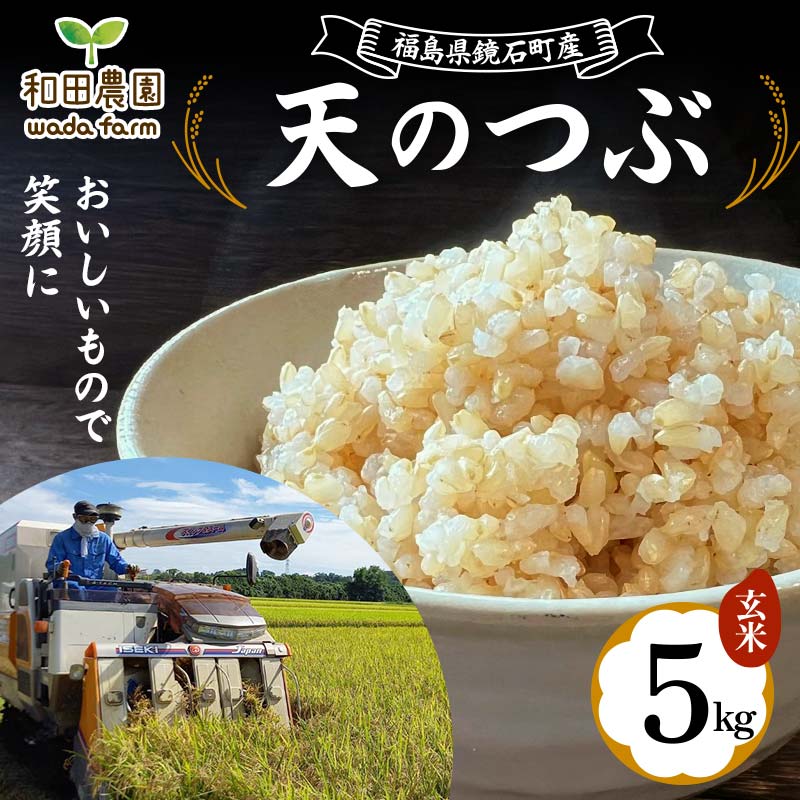 qs\ 2025NYār ΒY ac_uV̂ԁv 5kg  R   F6Q-191Β12000āEpāEGāEāE