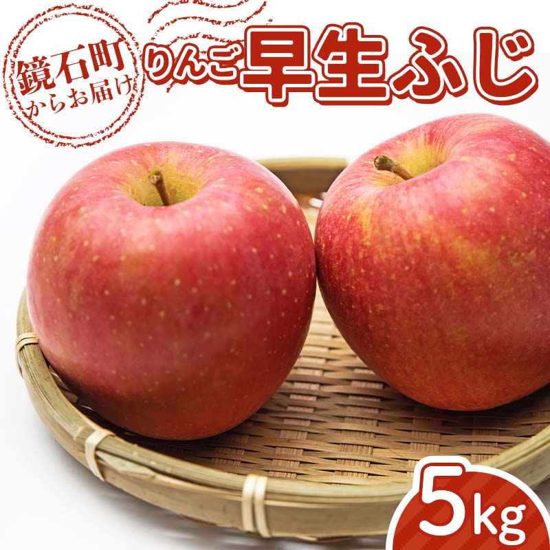s\񁄕Y Â  ӂ 5kg i12ʁ`20ʁj S t[c ʕ F6Q-287Β14000ʕEt[c񂲁E