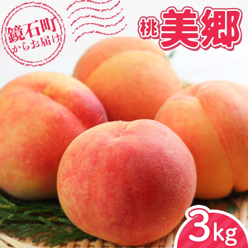 s\񁄕Y ÂăW[V[   3kg i9ʁ`12ʁj  t[c ʕ F6Q-295Β15000ʕEt[cE