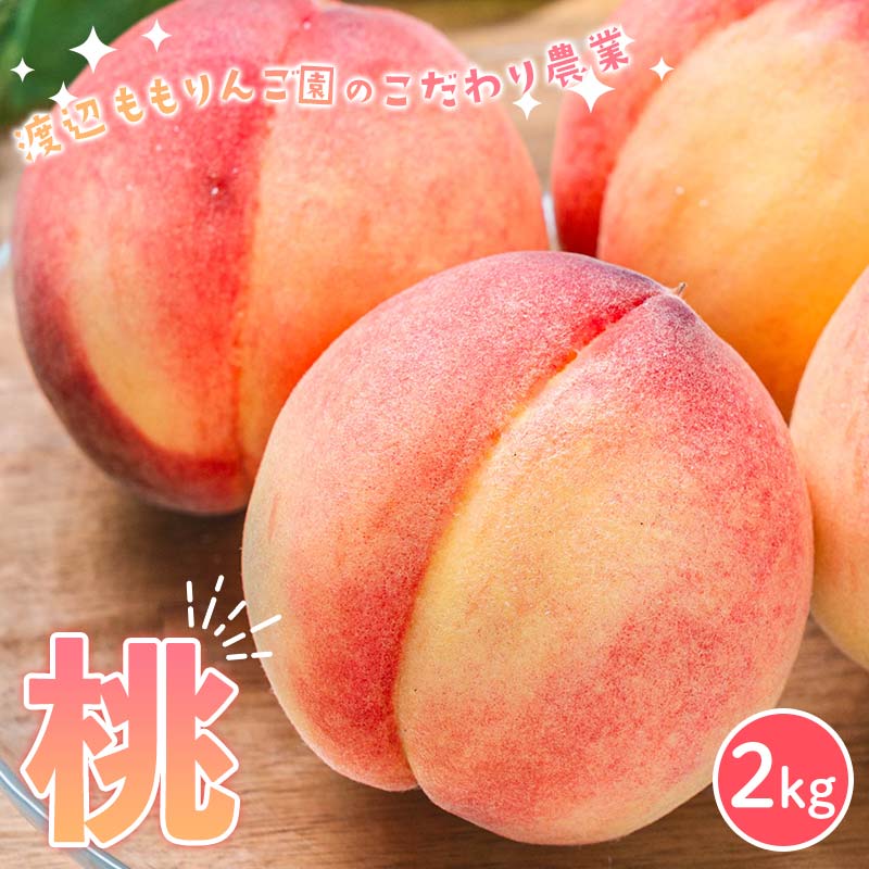 nӂ񂲉̂_  2kg    fU[g t[c ʕ  ʎ Hi F6Q-347Β12000ʕEt[c
