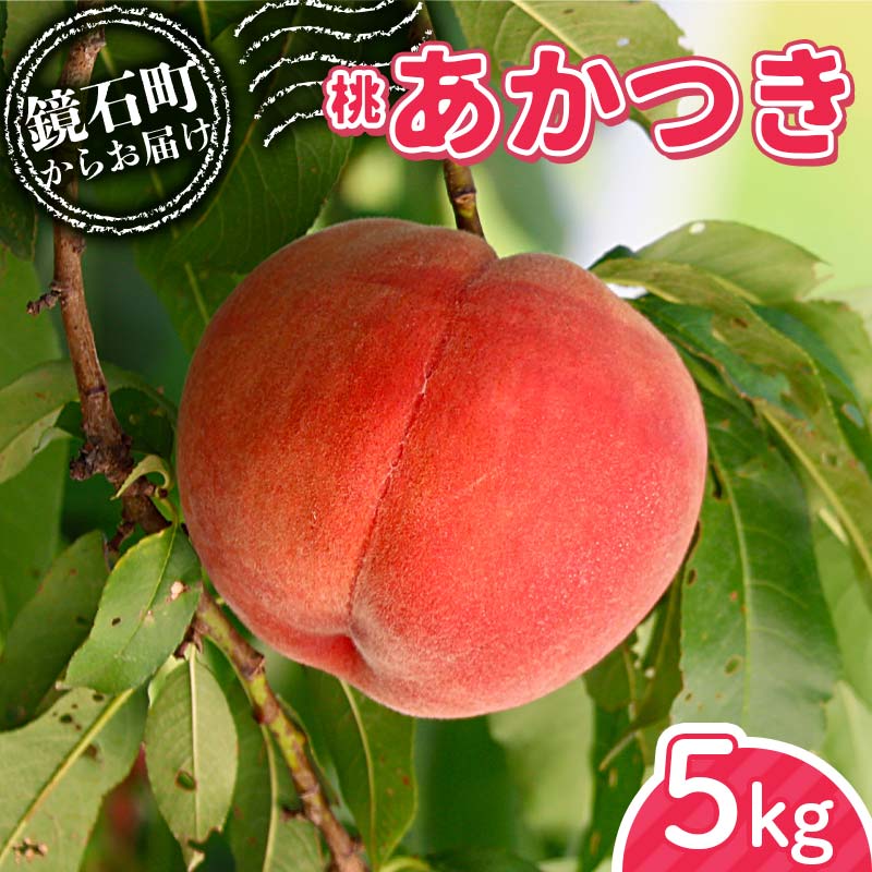 <先行予約>福島県産 甘くてジューシー 桃 あかつき 5kg (18玉〜25玉) もも フルーツ 果物 F6Q-354福島県鏡石町24000果物・フルーツもも・すもも