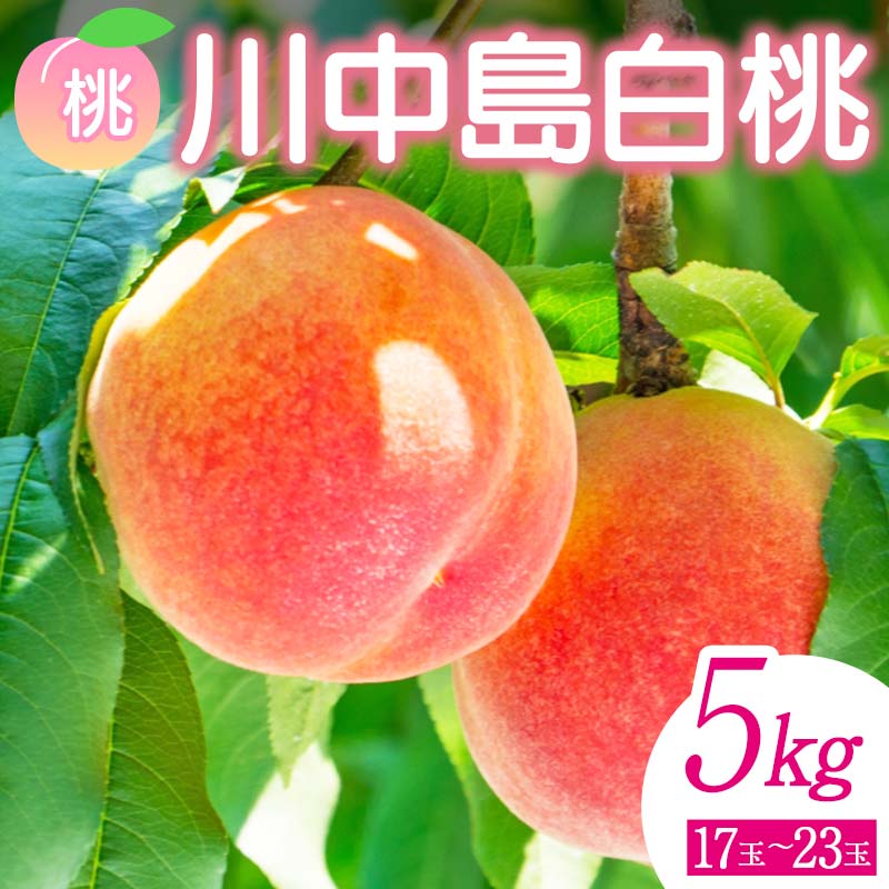 s\ Y ÂăW[V[  쒆  5kgi17ʁ`23ʁj  t[c ʕ  Β  F6Q-357Β24000ʕEt[cE