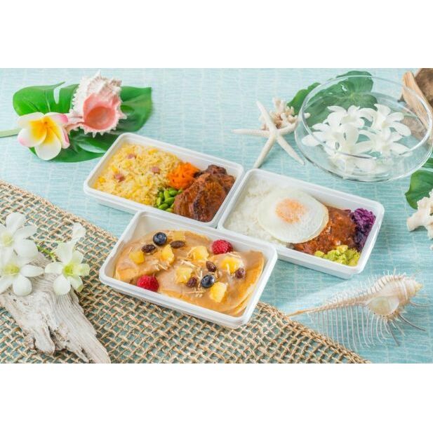 訳あり 世界の機内食 ハワイ絶品ロコフード6食セット(3種x各2食) 加工品 惣菜 冷凍 メインディッシュ BBQチキン パンケーキ ロコモコ ハンバーグ 目玉焼き 大人気 千葉県成田市17000鍋セ