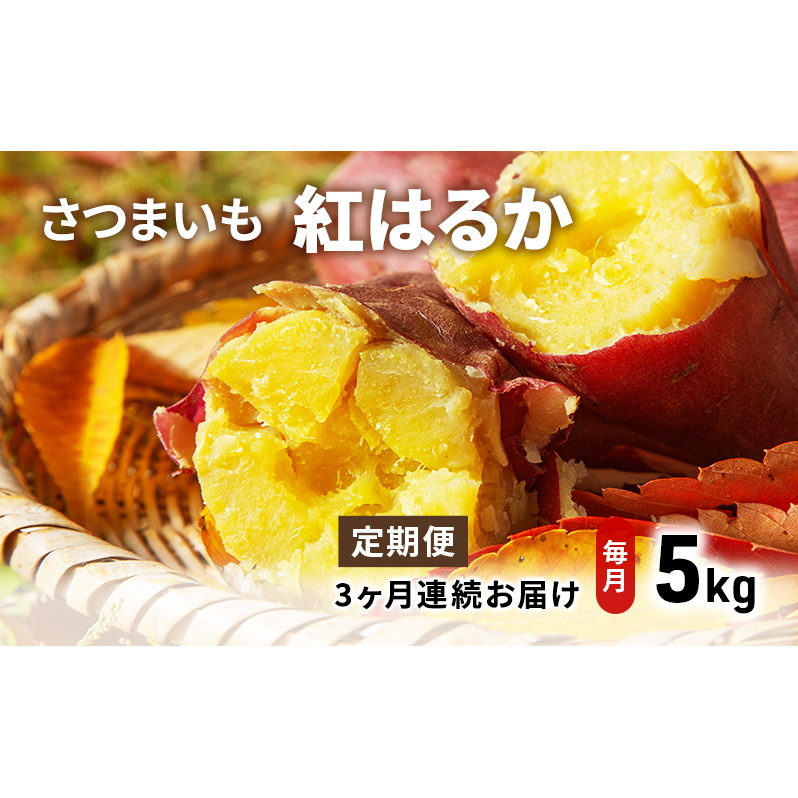 ܈ig͂邩j5kg 3 ܂  Tc}C tcs34000؁ÊႪEC