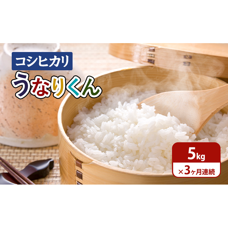 米 【令和7年度産】3ヶ月連続お届け「コシヒカリ」うなりくん5kg こしひかり コシヒカリ お米 精米 白米 定期便 成田市 千葉県千葉県成田市59000米・パン白米