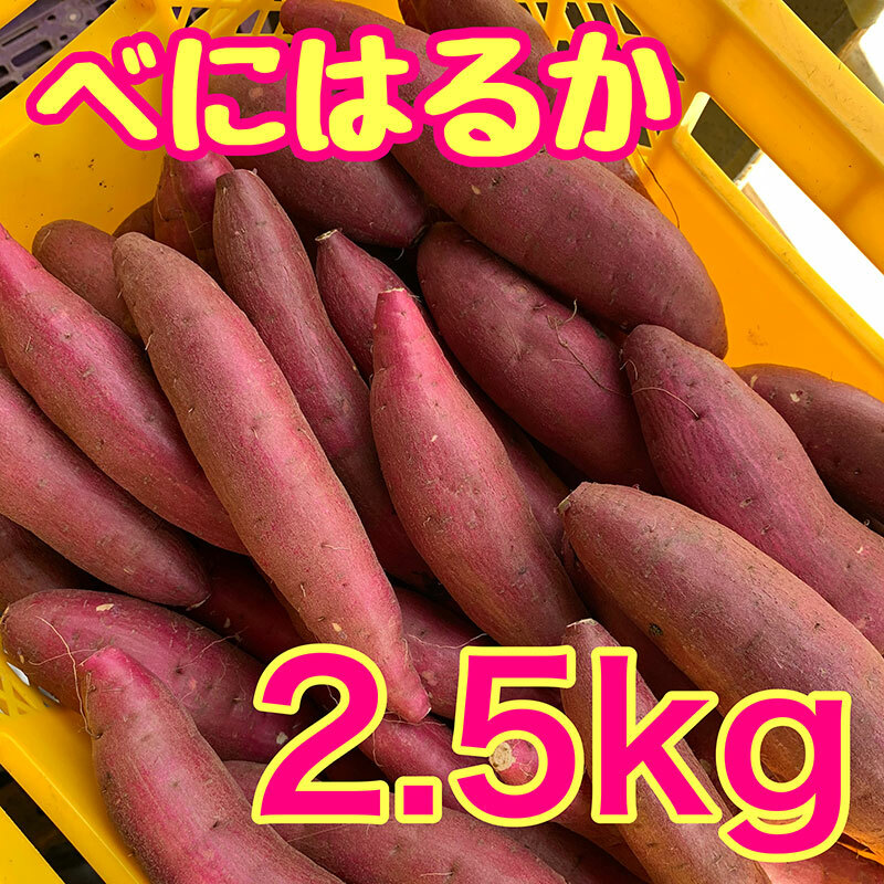 ׂɂ͂邩2.5kg@g͂邩 Tc}C ܂  t cstcs12000؁ÊႪEC