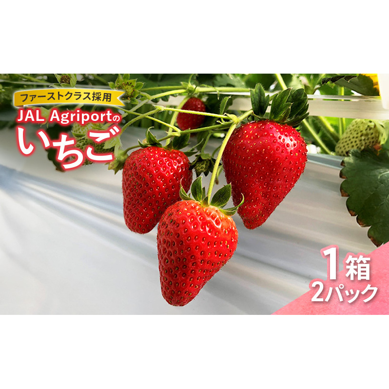 【先行予約】JALの直営農園からお届け ファーストクラス採用の「JAL Agriportのいちご」1箱 2パック いちごイチゴ 朝採り ファーストクラス 機内食 成田市 千葉県千葉県成田市22000果物・フルー
