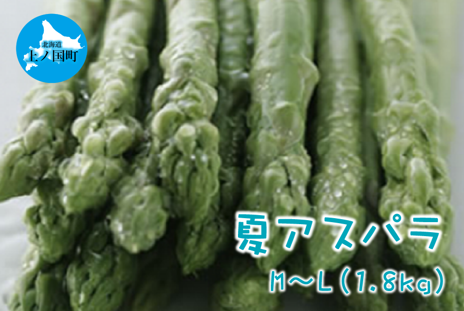 【2026年夏発送】刀祢農園の朝採り夏アスパラ M〜L(1.8kg) 朝採れ 農家直送 新鮮 グリーンアスパラ 夏野菜 旬野菜 シャキシャキ とれたて 北海道産北海道上ノ国町18000野菜・