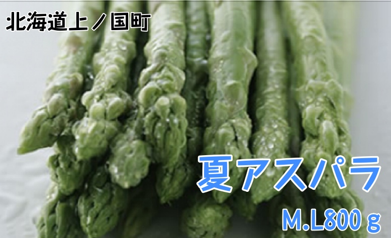 【2026年夏発送】刀祢農園の朝採り夏アスパラ M〜L(800g) 朝採れ 農家直送 新鮮 グリーンアスパラ 夏野菜 旬野菜 シャキシャキ とれたて 北海道産北海道上ノ国町10000野菜・き