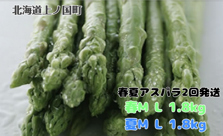 【2026年春夏発送】刀祢農園の朝採り春アスパラM〜L(1.8kg)と夏アスパラM〜L(1.8kg)の2回お届け北海道上ノ国町38000野菜・きのこその他 野菜