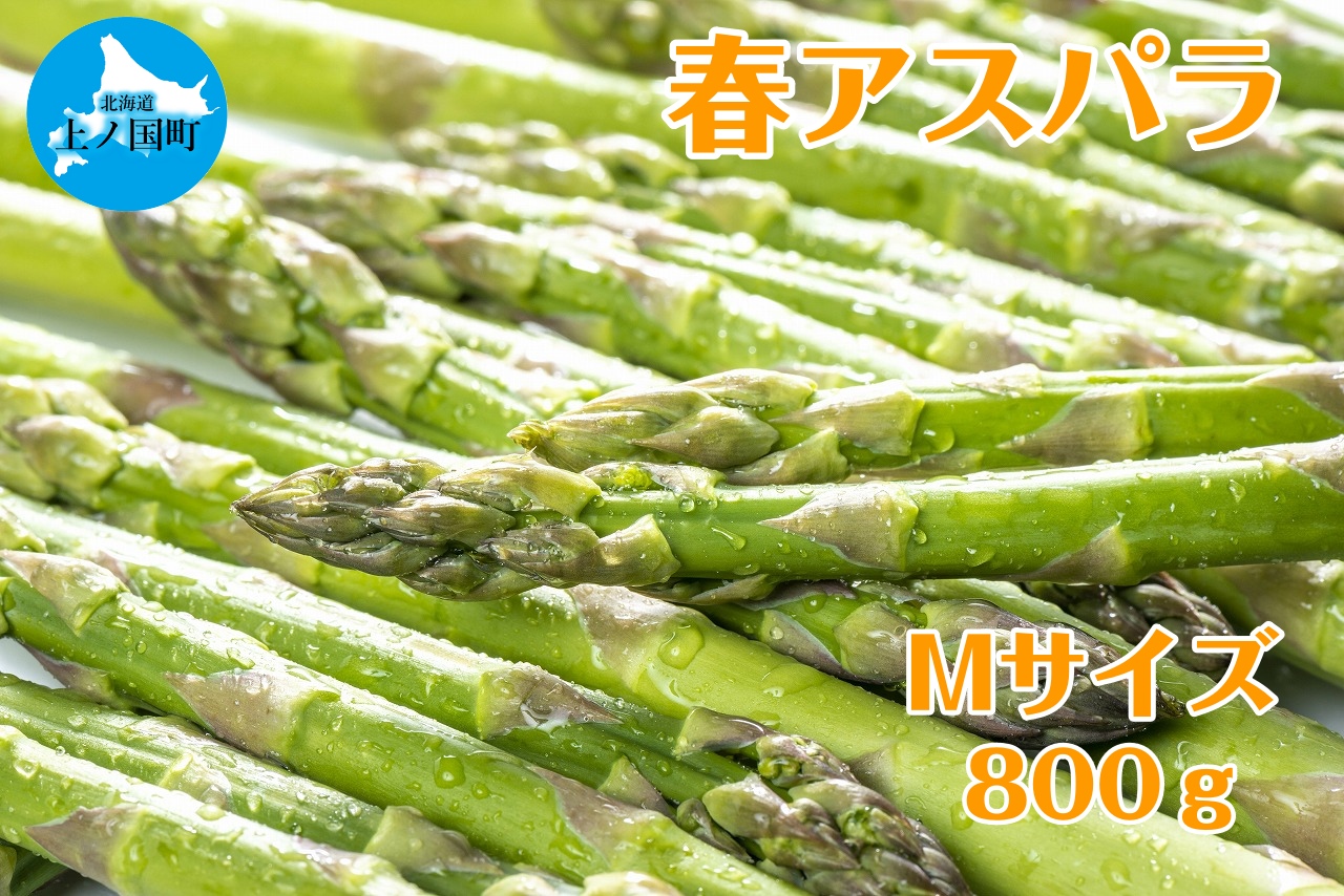 【2026年春発送】寅福菜園の朝採り春アスパラ M(800g) グリーンアスパラ 朝採れ 農家直送 新鮮 甘い 春野菜 旬野菜 特産品 北海道産北海道上ノ国町10000野菜・きのこその他 野