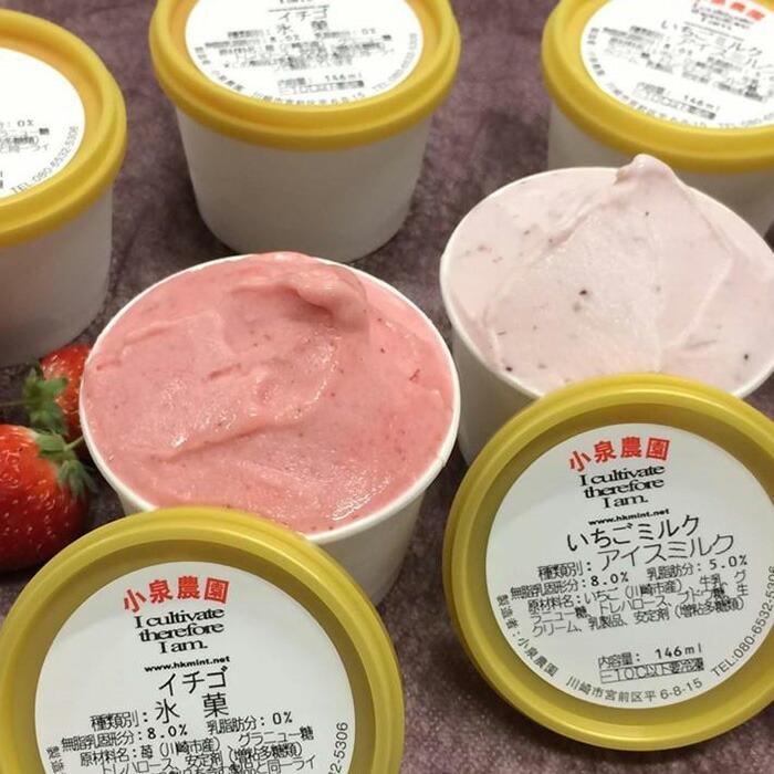 小泉農園ジェラートとイチゴ削り 8個セット神奈川県川崎市12000菓子・スイーツその他 洋菓子