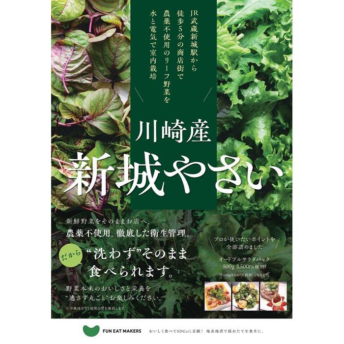 ミシュランシェフ御用達 鮮度2週間 無農薬6種リーフ300g神奈川県川崎市6000野菜・きのこその他 野菜