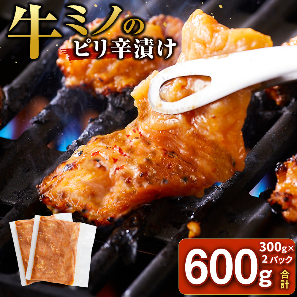 牛ミノ ピリ辛漬け 1.2kg ( 300g × 4パック ) 小分け 個包装 便利 牛肉 ホルモン ミノ 焼肉 焼き肉 お肉 肉 焼くだけ 冷凍 たれ 味付き BBQ アウトドア キャンプ 人気 おすすめ 神奈川 川崎【2025年11