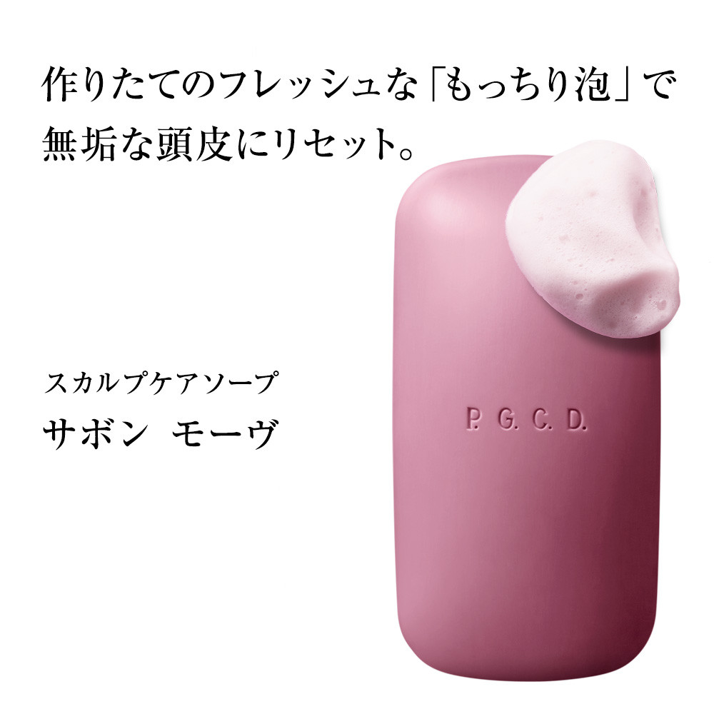 P.G.C.D.XJvPA\[vZbg@145g(2)@2_ސ쌧s24000G݁EpiϐEtEei