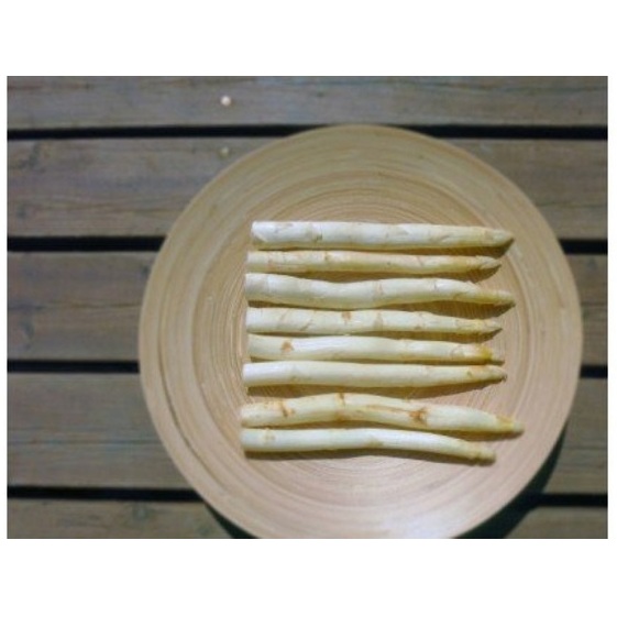 ホワイト アスパラガス 100g×8束 ホワイトアスパラガス アスパラ ホワイトアスパラ 野菜 旬 旬の野菜 季節の野菜 産地直送 香川 香川県 丸亀 冷蔵 冷蔵配送 先行 予約 先行予約 2025 2025年 3月