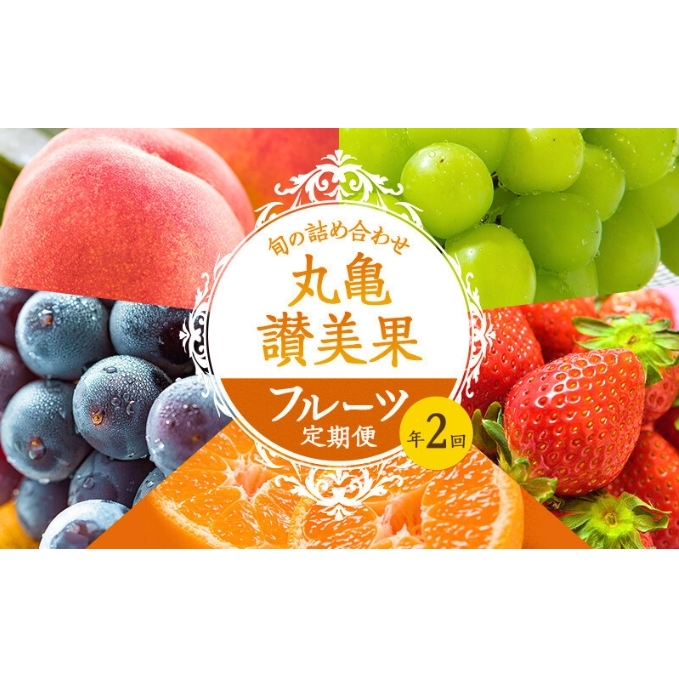 フルーツ定期便 丸亀讃美果 計2回定期便/ 果実 果物 旬 定期配送 シャインマスカット 桃 みかん いちご ピオーネ ぶどう 詰め合わせ 詰合せ 果物類 旬のフルーツ 季節の果物 ブドウ せとか