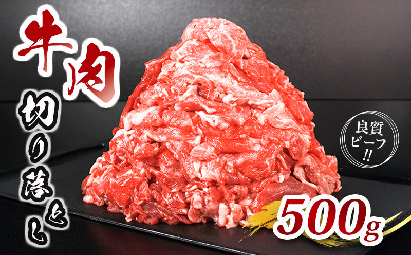 肉 牛 牛肉 切り落とし 細切れ 約 500g 国産 牛バラ バラ モモ 肉 赤身 冷凍 小分け 選べる 容量 すき焼き しゃぶしゃぶ ごちそう 鍋 鉄板焼き やわらかい 美味しい おいしい 香川県 香川 丸亀