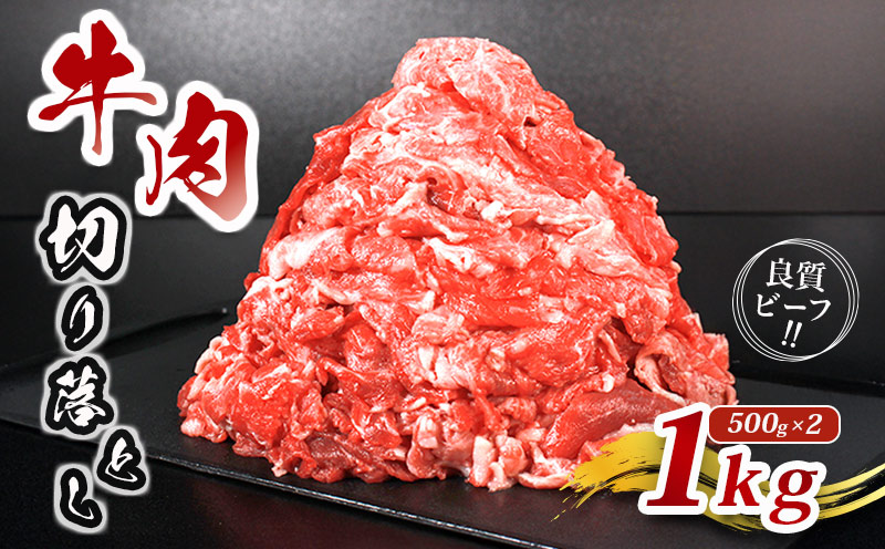    ؂藎Ƃ א؂  1kg Y o o   Ԑg Ⓚ  Iׂ e Ă Ԃ   SĂ 炩   쌧  ۋT