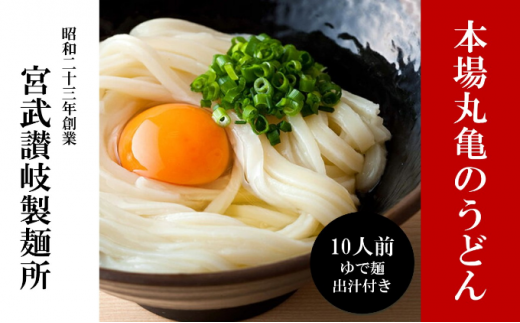 うどん 香川 元祖さぬきゆでうどん 10人前 宮武讃岐製麺所 丸亀からお届け 讃岐うどん 麺 麺類 個包装 常温 常温保存 日持ち 備蓄 讃岐 香川県 丸亀 丸亀市香川県丸亀市7000麺うどん